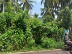 Coconut Land For Sale In Embilipitiya