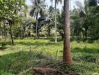 Coconut Land for Sale in Gambaha - Cl594