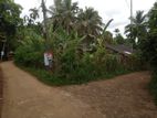 Coconut Land for Sale in Gampola