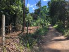 Coconut Land For Sale in Godakawela