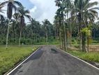 Coconut Land for Sale in Homagama