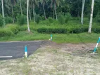 Coconut Land for Sale in Homagama