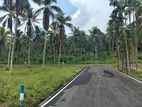 Coconut land for sale in Homagama