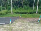 Coconut land for sale in Homagama