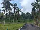 Coconut land for sale in Homagama