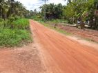 Coconut Land For Sale In Horagassagara Bingiriya