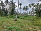 Coconut Land for Sale in Kuliyapitiya