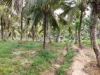 Coconut Land For Sale In Kuliyapitiya