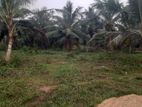 Coconut Land for Sale in Meegoda Wataraka