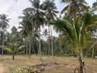 Coconut Land for Sale in Minuwangoda