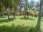 Coconut Land For Sale in Pamunugama