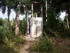 Coconut Land for Sale in Puttalam - Cl623