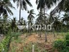 Coconut Land For Sale In Puttalam - Noracholai