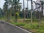 Coconut Land for Sale in Thalagala