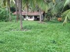 Coconut Land for Sale Katupotha