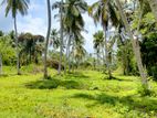 Coconut Land for sale Kuliyapitiya