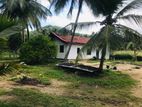 Coconut Land for Sale Kurunegala (Gonagama-Rangama Road) (ID: KG01)