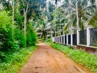 Coconut land for Sale Mirigama