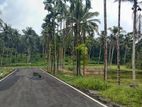 Coconut Land for Sale Thalagala