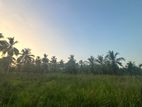Coconut Land for Sale Wariyapola