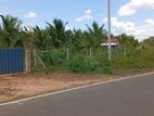 Coconut Land with Dairy Farm-Embilipitiya