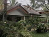 Coconut Land with Farm and House for Sale Madurankuliya