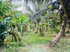 Coconut Land with House for Sale in Kekirawa