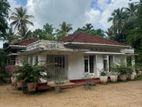 Coconut Land with house for sale in Pugoda