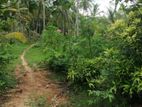 Coconut Land with House for sale කුරුණෑගල