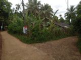 Coconut Land for Sale in Jayamalapura Gampola