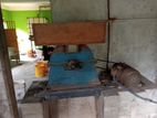 Coconut Oil Mill Machine