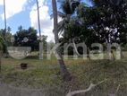 Coconut Paddy Estate Land for Sale in Kurunegala