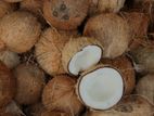 Coconut (පොල්)