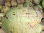 Coconut- පොල්