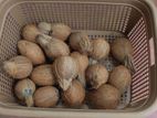 Coconut පොල්