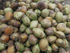 Coconut පොල්