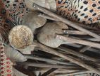 Coconut Shell Spoon
