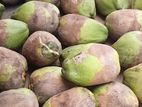 Coconut - தேங்காய்