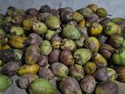 Coconuts