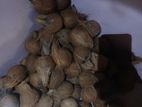 Coconuts