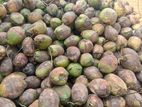 Coconuts