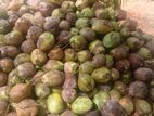 Coconuts