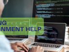 Coding Assignment Help Programming