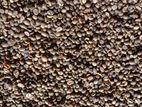 Cofee Seeds