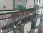 Cokertail Birds Breeding Cage