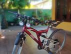 Coleman Mountain Bicycle