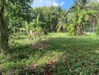 colombo 02 – Prime 1 Acre Land for Sale Near Cinnamon Life