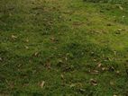 Colombo 02 – Prime 3 Acre Land for Sale Near Cinnamon Life