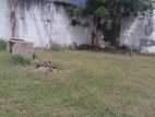 Colombo 03 : 12.5 P commercial Land for Sale