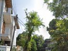 Colombo 05 - Land With a Livable House for sale